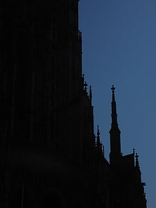 Münster, Wieża, Katedra w Ulm, budynek, Architektura, Ulm, ornament