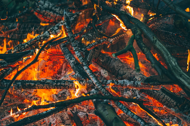 ash, bonfire, burn, burning, campfire, ember, firewood