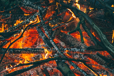 kül, şenlik ateşi, yanık, yanan, kamp ateşi, Kor, yakacak odun