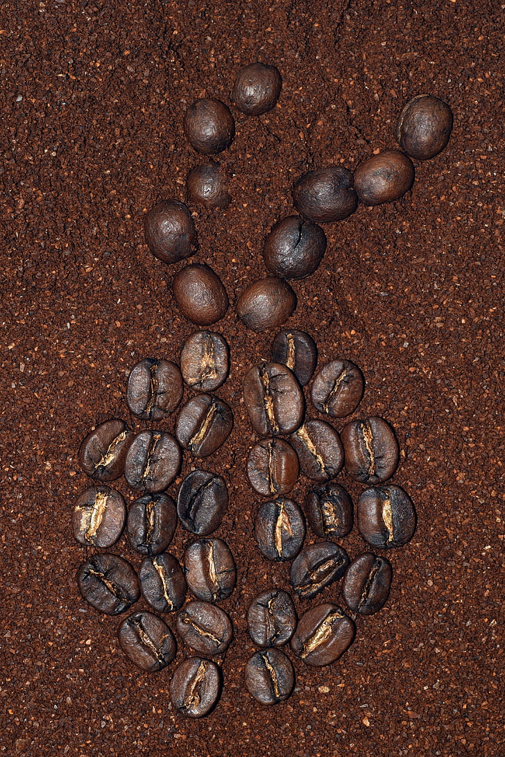καφέ, καφέ, φασόλια, ποτό, επωφελούνται από, κόκκοι καφέ, μοτίβο