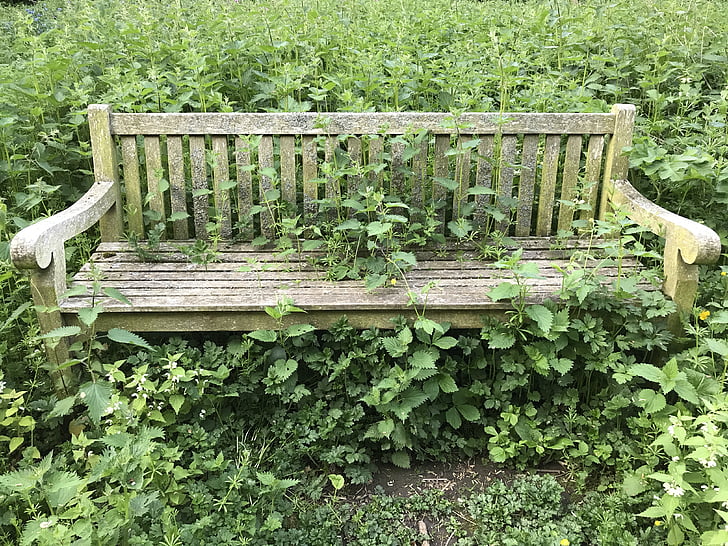 bench, abandoned, old, nature, outdoor, seat, wood