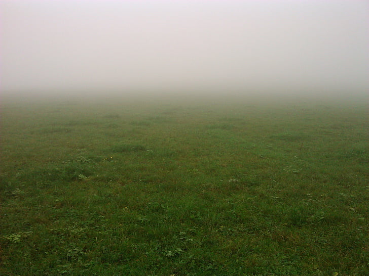 мъгла, ливада, Есен, загадъчна, природата, трева, на открито