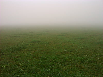 tåge, ENG, efterår, mystisk, natur, græs, udendørs