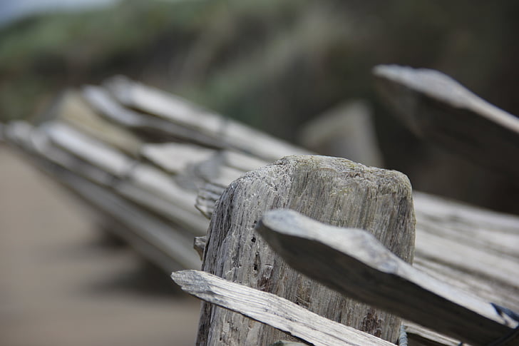 Picket, staket, på, stranden, sand beach, Irland
