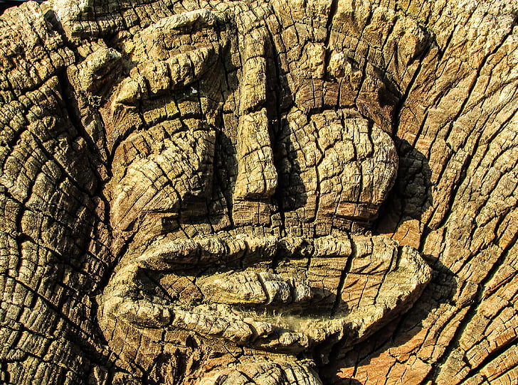 ansigt, træskæring, træ, skulptur, træ, udskåret, håndlavede