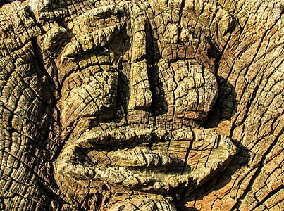 лицето, дърворезба, дървен материал, скулптура, дървени, издълбани, ръчно изработени