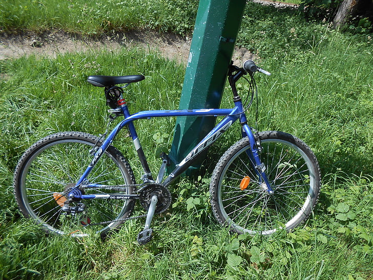 Mountain Bike, floresta, bicicleta