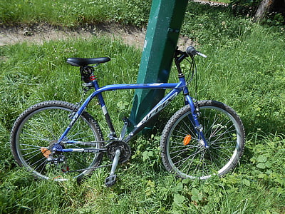 mountainbike, skov, cykel
