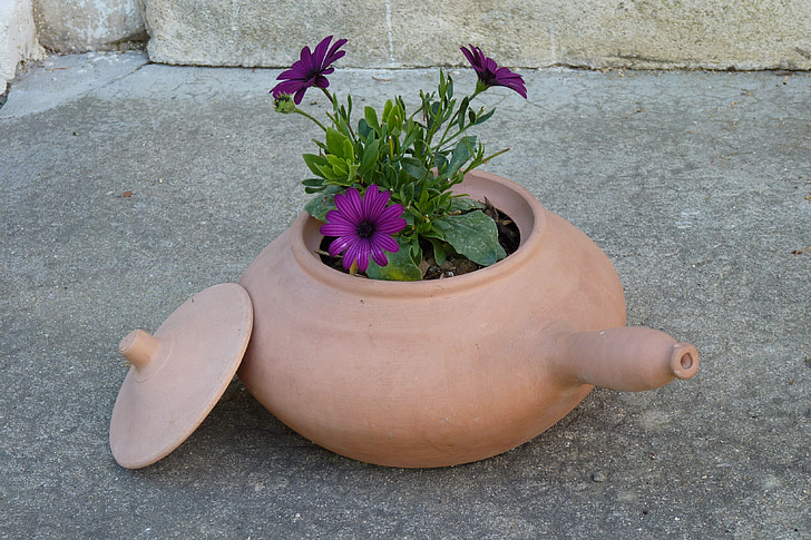 blomster, Clay pot, terracotta