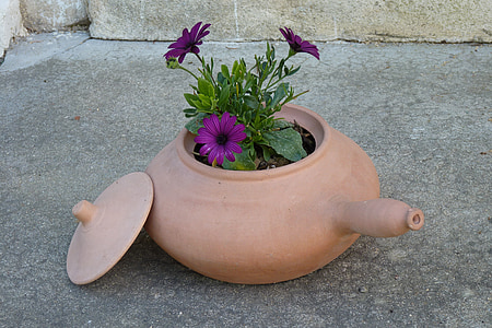 fleurs, pot en argile, en terre cuite