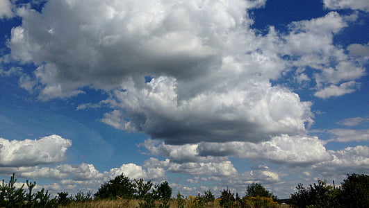 스카이, 구름, glomerulus, 푸른 하늘, 램, 조 경, 자연