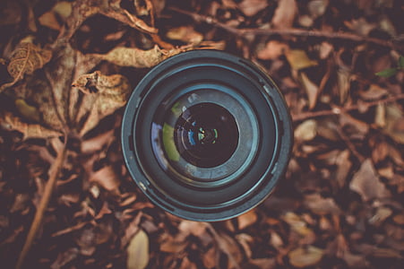 otoño, cámara, hojas, lente, equipo fotográfico, Fotografía