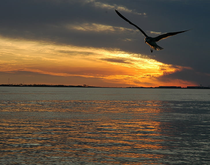 sunset, ocean, sea, sun, nature, summer, landscape
