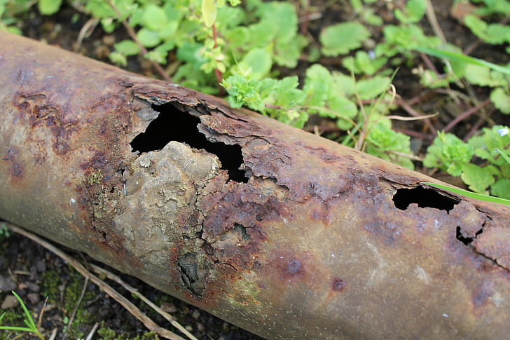 pipe, garden pipe, rust, rusted, rusted pipe