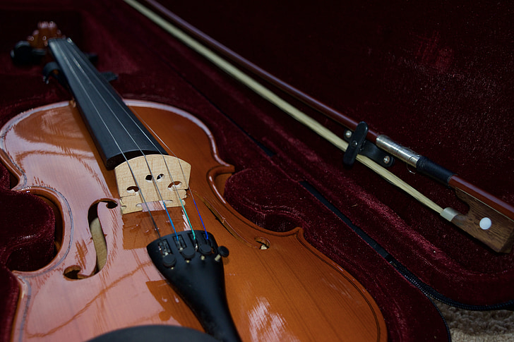 violin, velvet, bow, musical, instrument, string, case