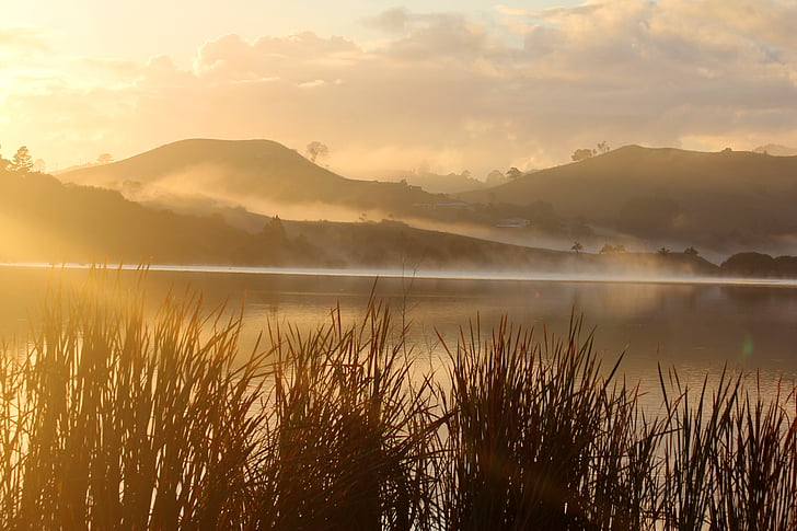 sunrise, fog, lake, water, nature, new zealand, morning