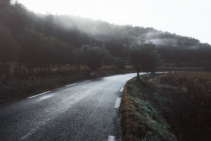 road, provence, france, europe, travel, mountain, outdoor