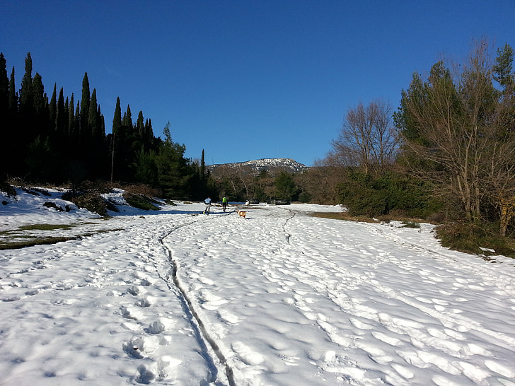 Snow trail, weiß, Winter, Trail, Schnee, verschneite, Landschaft