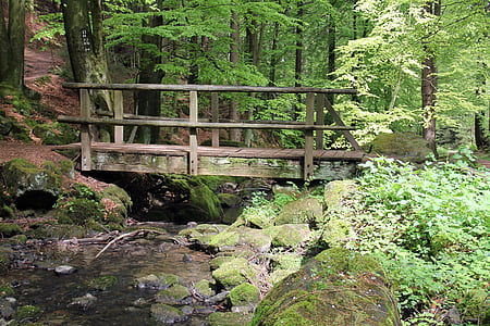 bosque, de Bach, puente, Web, Cala de plata, agua, agua que corre