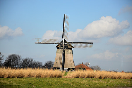 Windmill, Holland, tradition, Nederländska, Nederländerna, landskap, landsbygdens