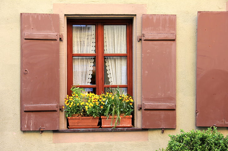rakennus, Etusivu, ikkuna, kukat, kukka, idylli, suljin
