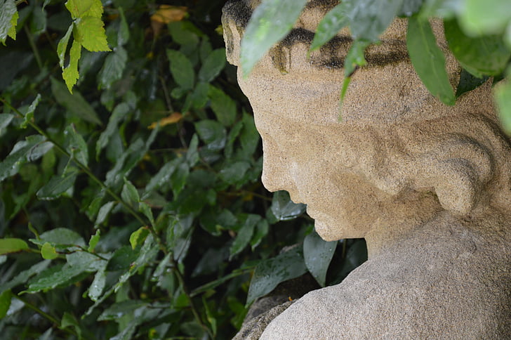 statue, face, rome, italy, greenery, profile, green