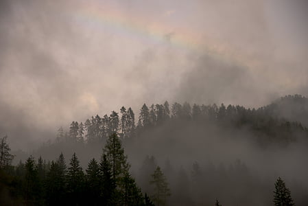 зората, здрач, мъгла, мъгла, пейзаж, светлина, мъгла