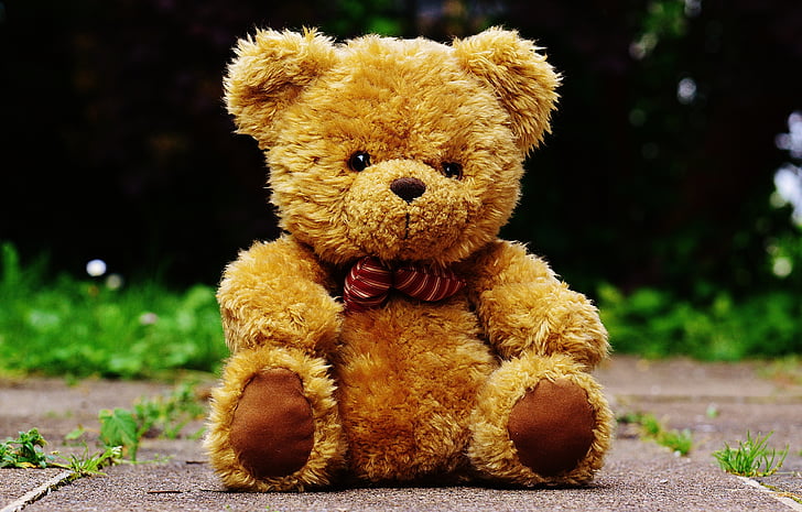 Teddy, PLUCHE, schattig, speelgoed, grappig, beren, Sweet