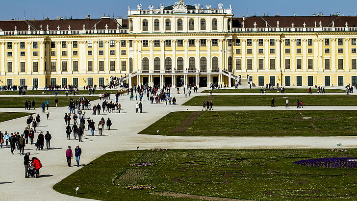 Wien, Schönbrunn, slott, Österrike, Slottsparken, Visa, arkitektur