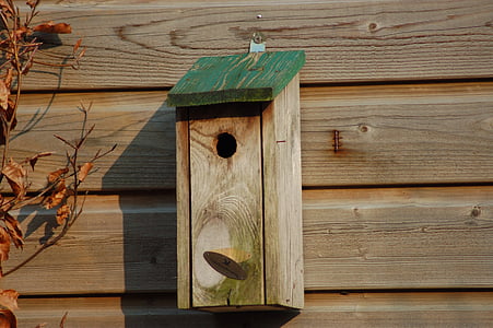 Birdhouse, fusta, jardí, muhe