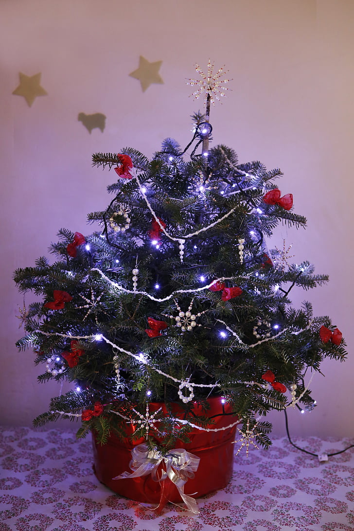 jul, Xmas, juletræ, sæson, ferie, vinter, ornamenter