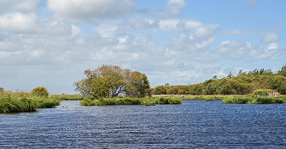 沼泽, brière, 卢瓦尔大西洋省, 水, 景观