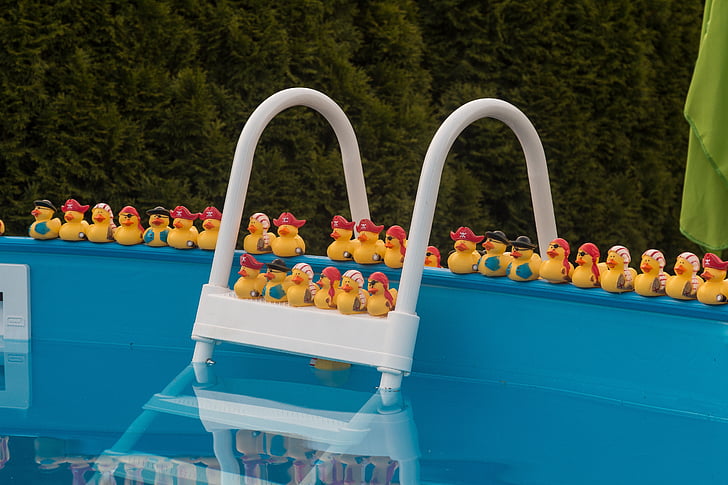 bassein, vee, bassein, Värskenda, ujuda, suvel, Piljard duck ujuda.
