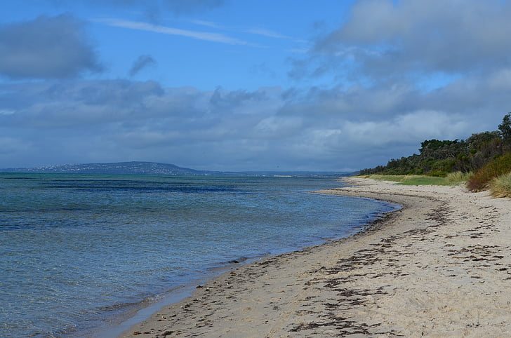 beach, coastline, nature, sand, shore, holiday, sea