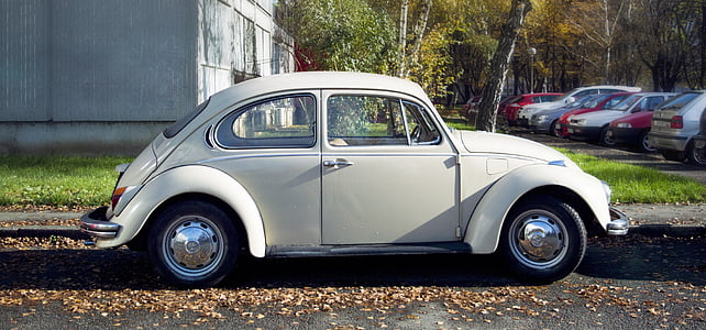 VW beetle, VW, Vintage, samochód, Volkswagen, stary, Classic