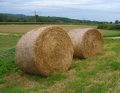 straw, field, agriculture, landscape, cereals, clouds, round bales