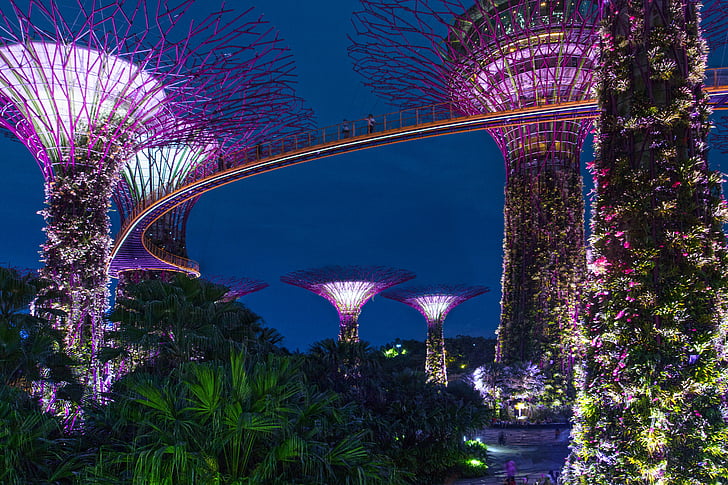 Singapore, nacht, het platform, Azië, gebouw, wolkenkrabber, stad
