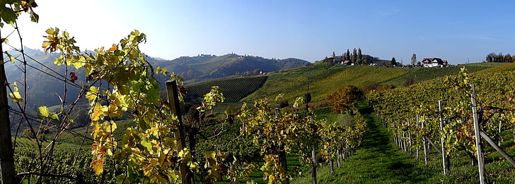 Южна Щирия, Щирия, вино, пейзаж, Австрия, Хилс, грозде