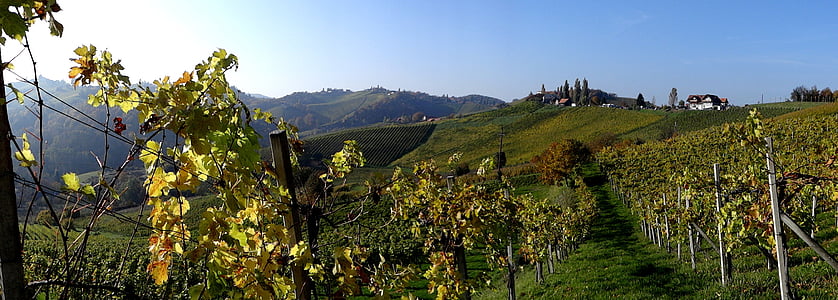 Południowej Styrii, Styria, wino, krajobraz, Austria, Hills, winogron