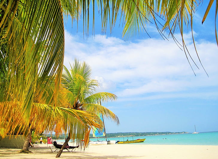 magnífic, Jamaica, palmeres, platja, típica jamaicana, paradís, exòtiques