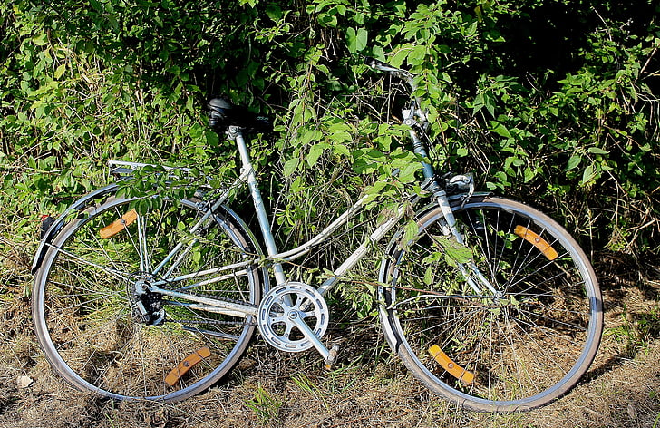 bike, women's bicycle, used, filed, thrown away, leave