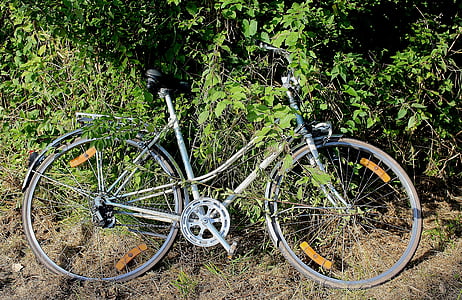 Sepeda, Putri Sepeda, digunakan, Filed, dibuang, meninggalkan