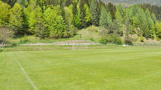 football, football field, green, grass