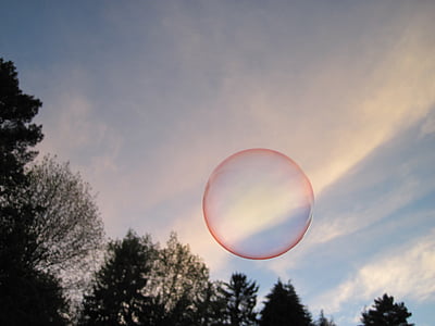 soap bubble, shimmer, sky, trees, forest, fly, colorful