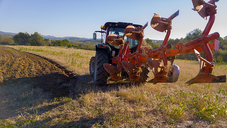 tractor, mano de obra, máquina agrícola, agricultura, campo