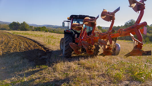 traktor, arbejdskraft, landbrugsmaskine, landbrug, felt