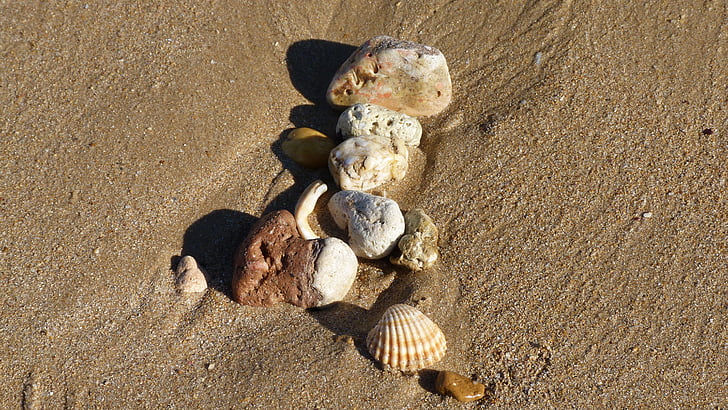 praia, areia da praia, escudo, decorativos, marés