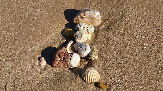 plage, sable de la plage, coquille, décoratifs, marées
