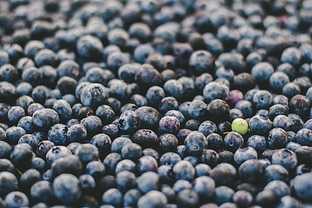 fruit, round, blueberries, green, violet, berry, food