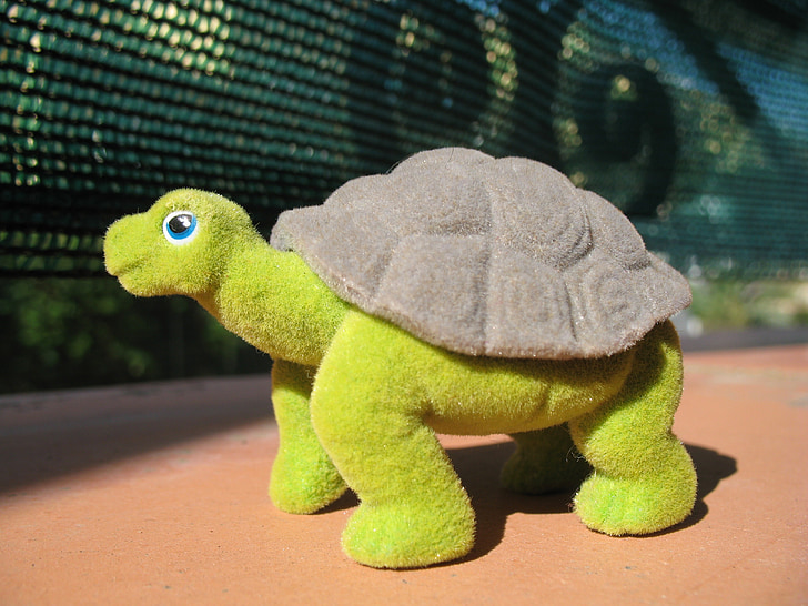 turtle, toy, reptile